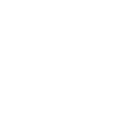 3DS icon