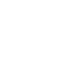 Android icon