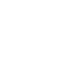 Apple II icon