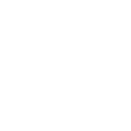 Atari Jaguar CD icon