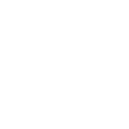 Famicom Disk System icon