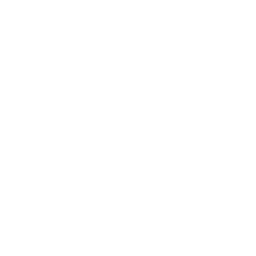 GameCube icon