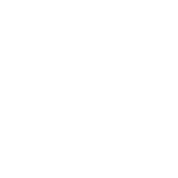 GBC icon