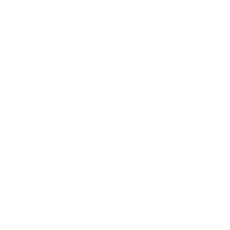 Genesis / Mega Drive icon