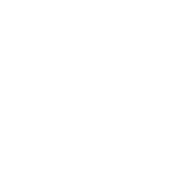 iOS icon