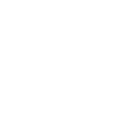 Mac icon