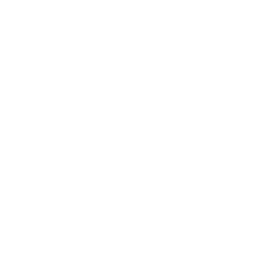 Neo Geo Pocket Color icon