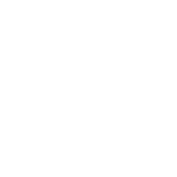 Nintendo DSi icon