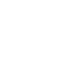 Palm OS icon