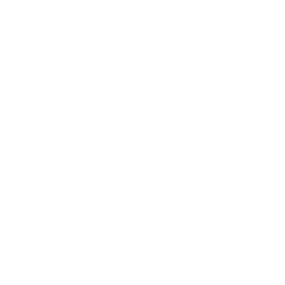 PSP icon