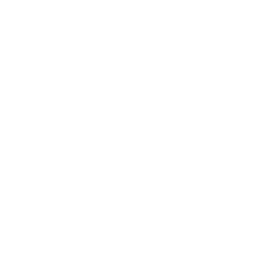 Satellaview icon
