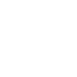 Sega 32X icon