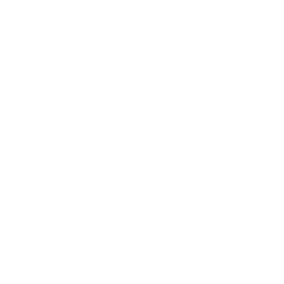 SNES icon