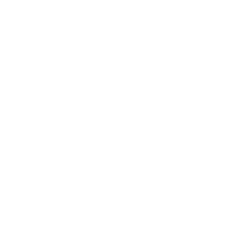 Stadia icon