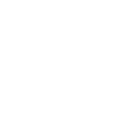 Switch 2 icon