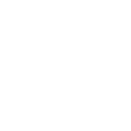 Switch icon