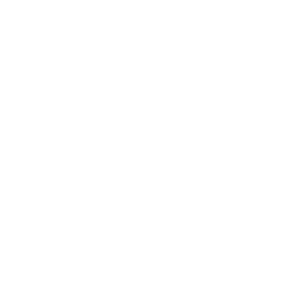 VIC-20 icon