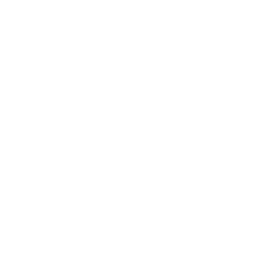 WonderSwan Color icon