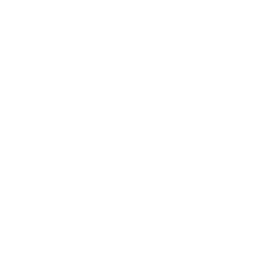 WonderSwan icon